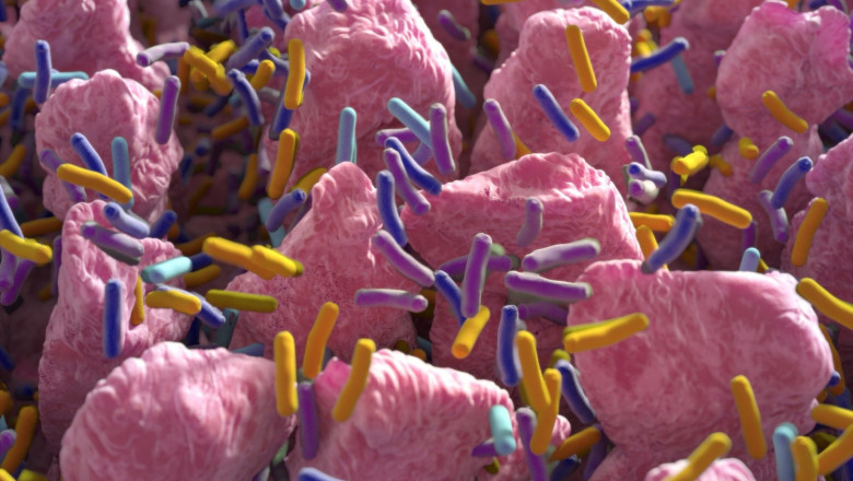 Purina Institute impulsa la conversación sobre la innovación del microbioma en la medicina veterinaria purina institute microbiome innovation