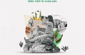sierra norte de guadalajarab 