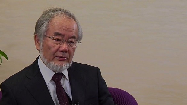 Yoshinori Ohsumi