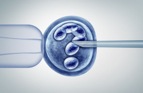 1607939870 fiv 1607939870 fiv