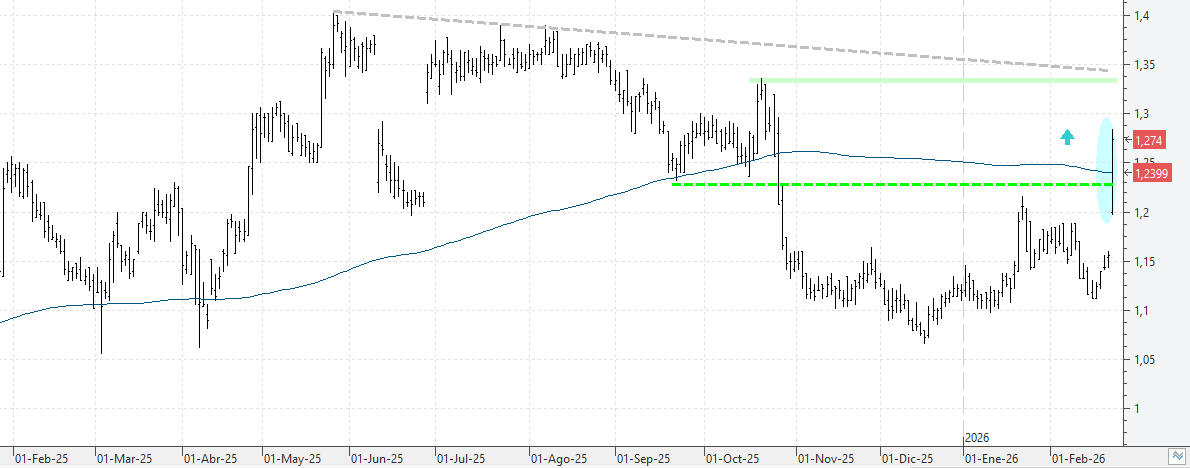 c230226linea c230226linea