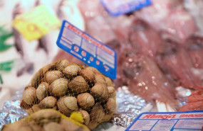 ep almejas en un puesto en el mercado de san isidro a 17 de diciembre de 2021 en madrid espana