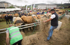 ep archivo   agricultura inicia el procedimiento de pago de 712 millones de euros en ayudas a