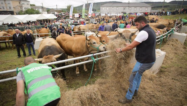 ep archivo agricultura inicia el procedimiento de pago de 712 millones de euros en ayudas a ep archivo agricultura inicia el procedimiento de pago de 712 millones de euros en ayudas a