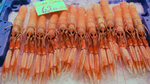 ep archivo   cigalas en un puesto en el mercado de san isidro