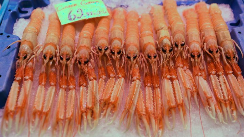ep archivo cigalas en un puesto en el mercado de san isidro ep archivo cigalas en un puesto en el mercado de san isidro