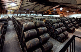 ep bodega delgado zuleta