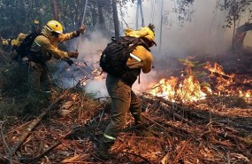 ep bomberos apagandofuegoun bosque campana incendios forestales 2018