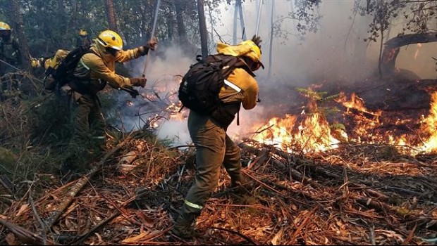 ep bomberos apagandofuegoun bosque campana incendios forestales 2018
