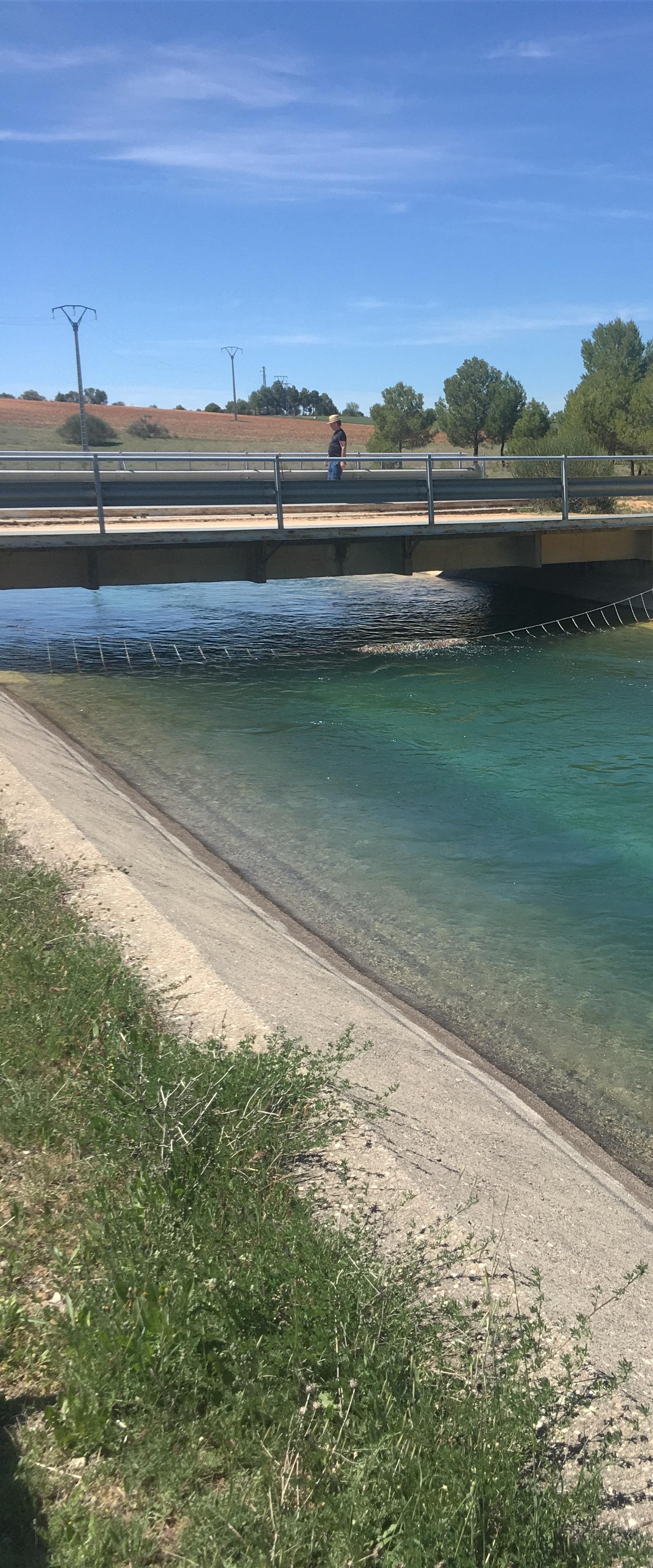Embalse, trasvase, riego, regadío, agua, canal, Tajo-Segura | EUROPA PRESS ep embalse trasvase riego regadio agua canal tajo-segura 20171222135002