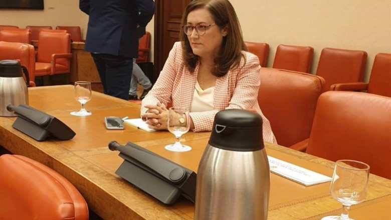 La diputada de CC en el Congreso de los Diputados, Guadalupe González Taño | CC ep la diputadacccongresolos diputados guadalupe gonzalez tano