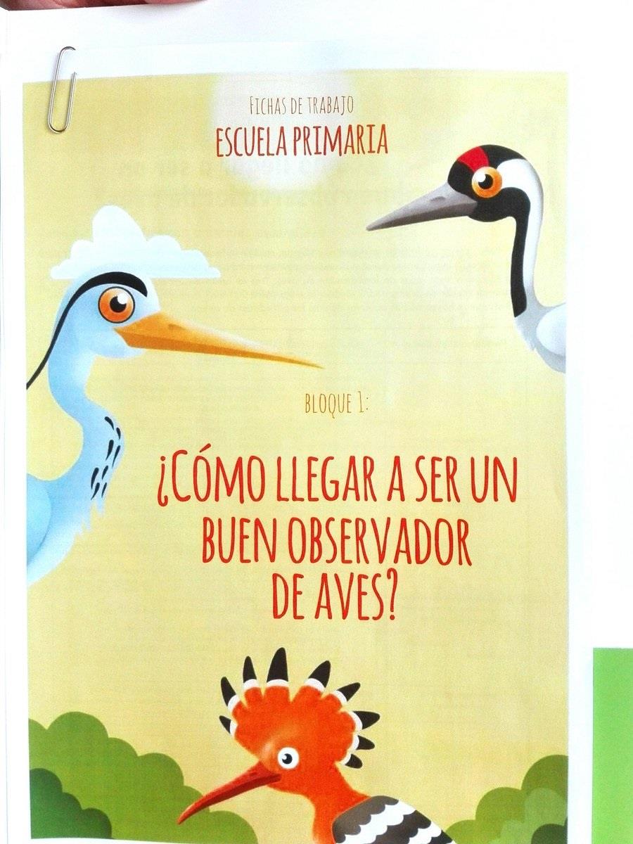 Seo Birdlife Elabora 11 Unidades Didacticas En Ingles Y 6 Espanol Para Acercar La Naturaleza A Ninos Y Profesores Bolsamania Com