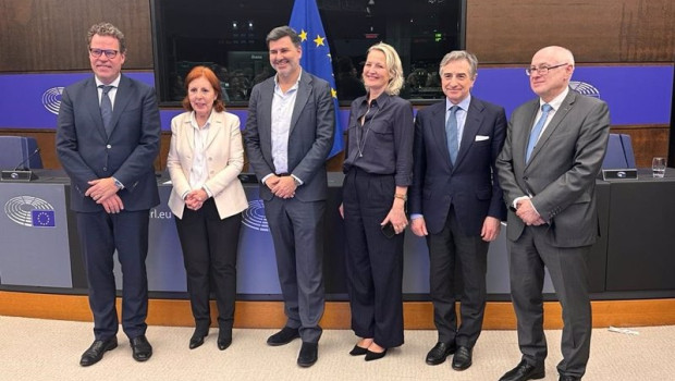 ep negociadores del consejo y el parlamento europeo para el acuerdo de reforma del mercado electrico