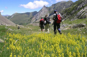 ep pirineu catal montanya excursio natura