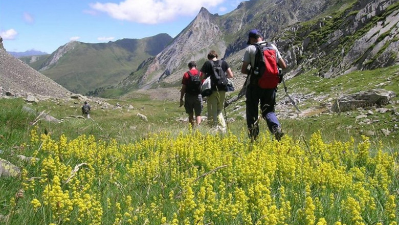ep pirineu catal montanya excursio natura