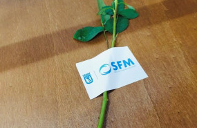 ep servicios funerarios de madrid coloca una rosa sobre cada uno de sus feretros para acompanar al