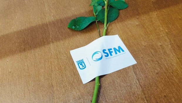 ep servicios funerarios de madrid coloca una rosa sobre cada uno de sus feretros para acompanar al