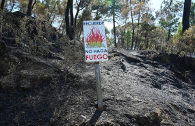 ep zonas calcinadas tras el paso del incendio de la sierra oeste de madrid a 30 de julio de 2026 en