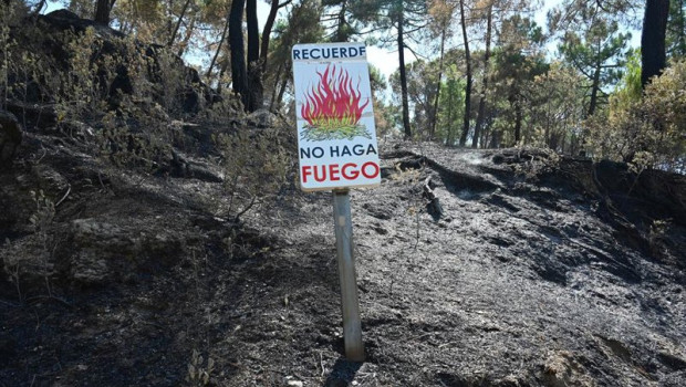 ep zonas calcinadas tras el paso del incendio de la sierra oeste de madrid a 30 de julio de 2026 en ep zonas calcinadas tras el paso del incendio de la sierra oeste de madrid a 30 de julio de 2026 en