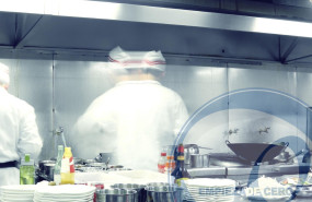 restudora oviedo restudora oviedo