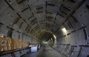 1573123038 fotoavezamora5