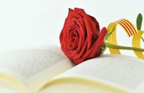 1587587558 sant jordi