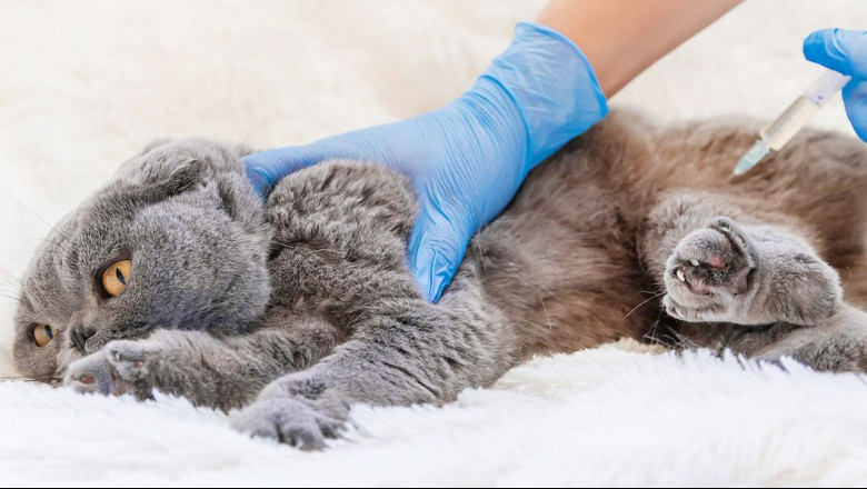 1589453509 animalshealth