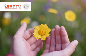 1626164341 sello de responsabilidad social aragon 1626164341 sello de responsabilidad social aragon