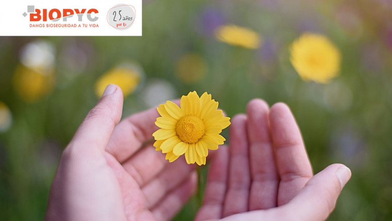 1626164341 sello de responsabilidad social aragon