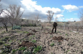 ep archivo   agricultor en el campo 20240403180003