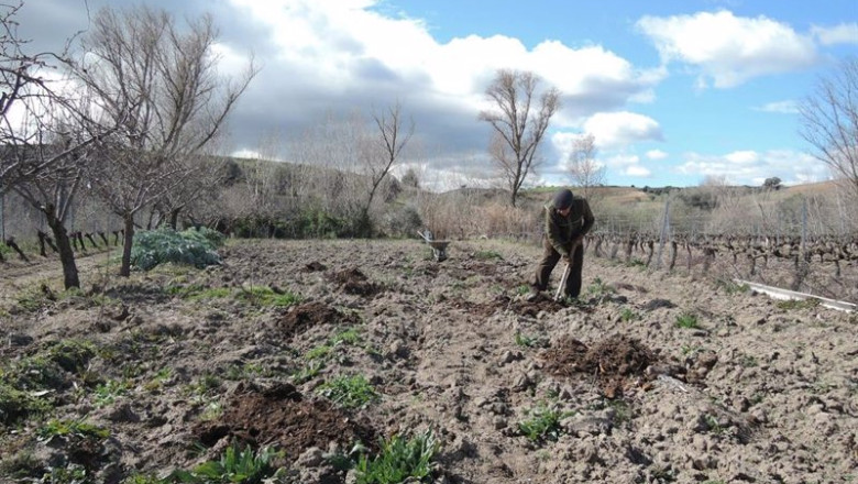 ep archivo agricultor en el campo 20240403180003 ep archivo agricultor en el campo 20240403180003