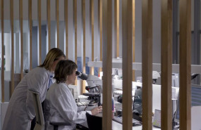 ep archivo   el 80 de las empresas del sector salud espanol preve elevar su facturacion en 2021