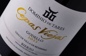 ep cepas viejas godello 2023 ha sido reconocido como mejor vino blanco con barrica en los premios ep cepas viejas godello 2023 ha sido reconocido como mejor vino blanco con barrica en los premios