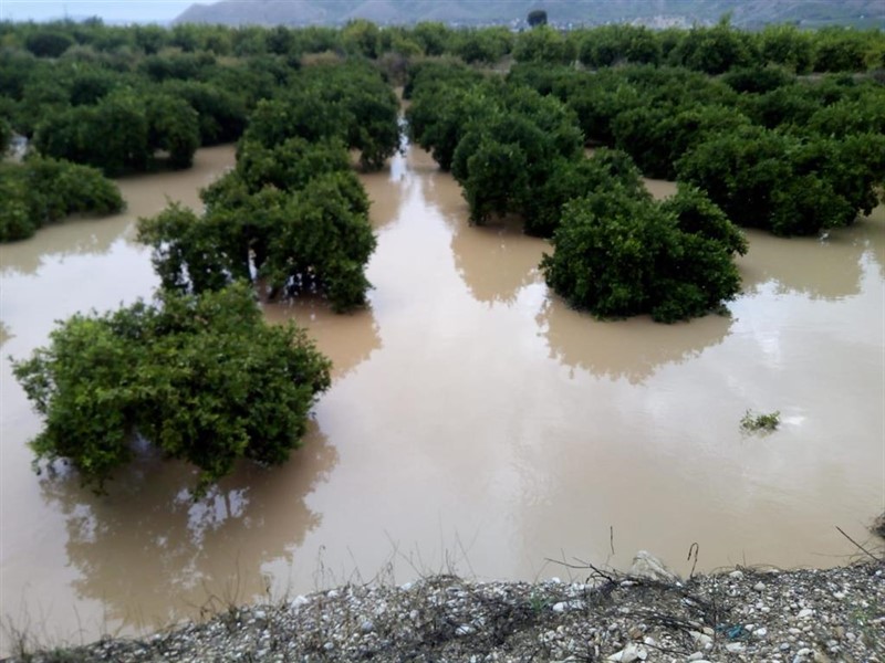 ep efectos de la dana en la vega baja