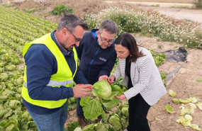 ep imagen de la consejera de agua agricultura ganaderia y pesca sara rubira junto a agricultores ep imagen de la consejera de agua agricultura ganaderia y pesca sara rubira junto a agricultores
