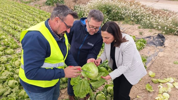 ep imagen de la consejera de agua agricultura ganaderia y pesca sara rubira junto a agricultores ep imagen de la consejera de agua agricultura ganaderia y pesca sara rubira junto a agricultores