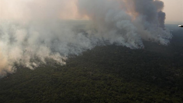 ep incendio en el amazonas