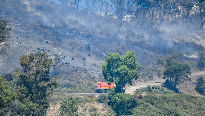 Europa Press - Europa Press ep incendio forestalceuta