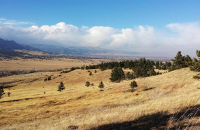 ep la biodiversidad del suelo es fundamentla para mantener ecosistemas terrestres sanos