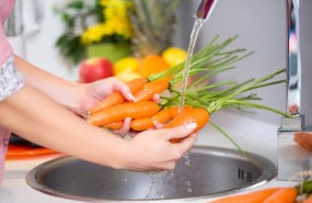 ep lavar alimentos zanahorias hortalizas verdura ep lavar alimentos zanahorias hortalizas verdura
