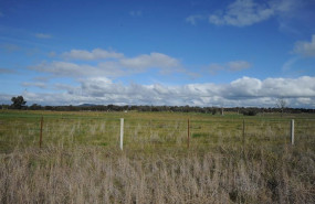 ep proyecto solar winton de frv en australia