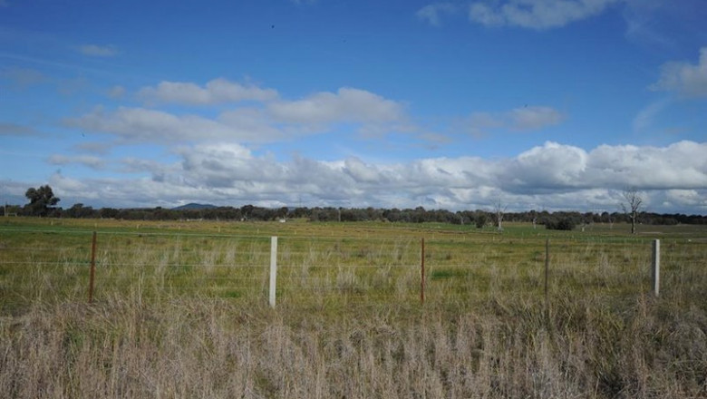 ep proyecto solar winton de frv en australia