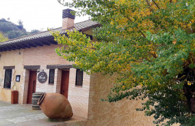 1610701315 20201109120524