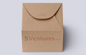 dl s ventures aqse natural organic brand developer logo dl s ventures aqse natural organic brand developer logo