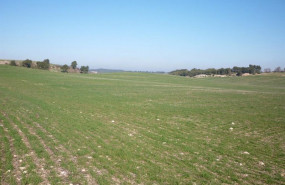 ep archivo   campo 20251023165304