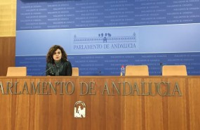 ep la portavoz adjuntagrupo parlamentariopodemos esperanza gomez