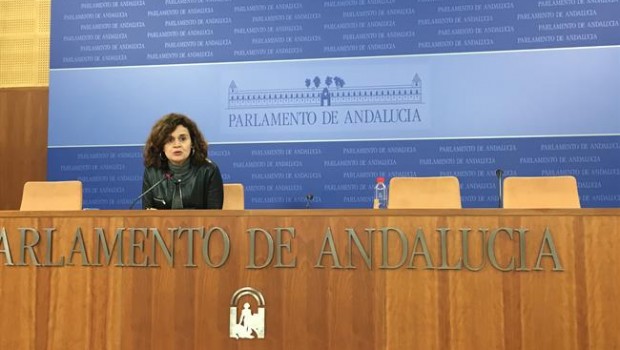 ep la portavoz adjuntagrupo parlamentariopodemos esperanza gomez