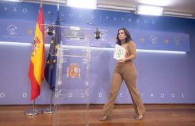 ep la portavoz de vox en el congreso pepa millan