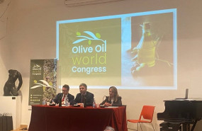 ep presentacion de la oowc en italia