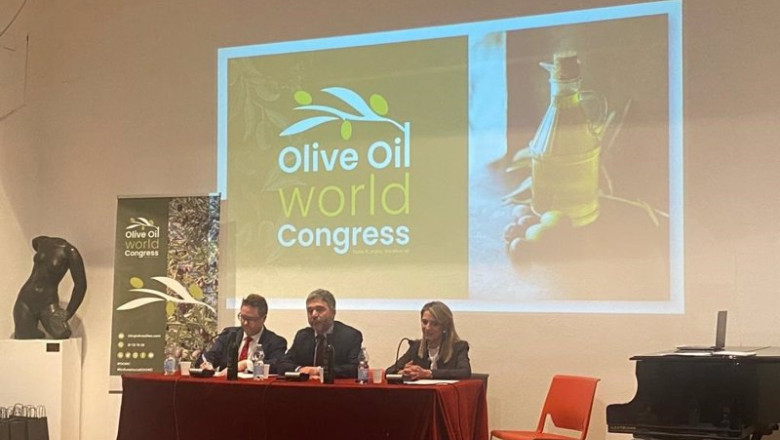 ep presentacion de la oowc en italia ep presentacion de la oowc en italia
